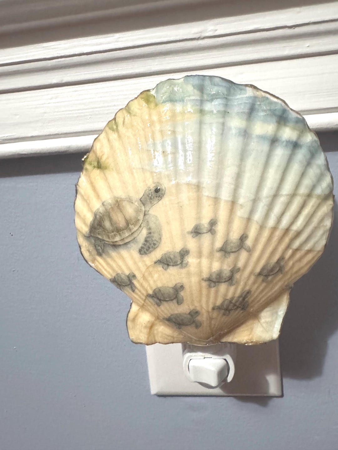 Sea Turtle Ocean Shell Nightlight | Coastal Beach Decor | Handmade ...