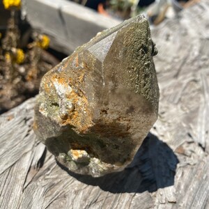 Chlorite included Quartz