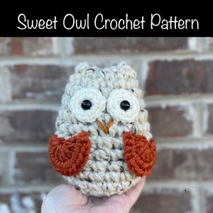 Sweet Owl Crochet Pattern, Owl Crochet, Bird Crochet, Beginner Crochet Patterns, The Farmer's Wife Shop Patterns, Woodland Critter Crochet