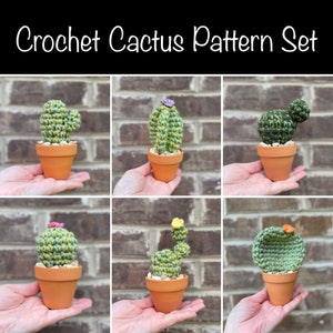 Set di modelli di cactus all’uncinetto, set di sei modelli di cactus all’uncinetto, piante che non puoi uccidere, piante all’uncinetto, cactus Amigurumi, piante grasse all’uncinetto