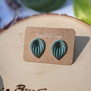 Watermelon Peperomia / Mini Houseplant earrings / Botanical Stud Earrings