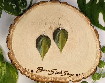 Philodendron Brasil Botanical Leaf Handmade Earrings