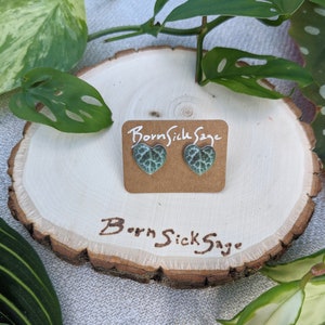 Mini Houseplant Stud Earrings / String of Heart / Botanical Stud Earrings / Plant Lover Gifts