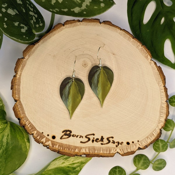 Philodendron Brasil Botanical Leaf Handmade Earrings