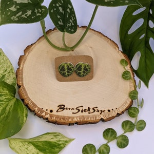 Houseplant Botanical Earrings / String Of Turtles Studs / Plant Lover Gifts
