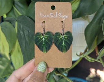 Philodendron Gloriosum Botanical Plant Leaf Earrings