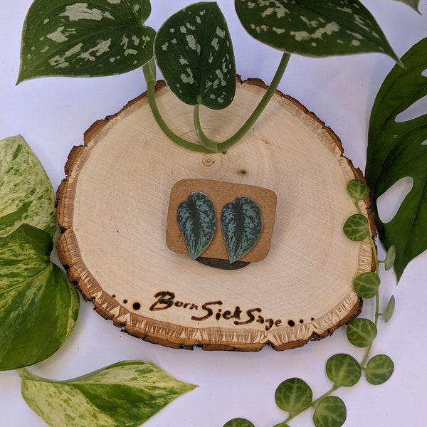 Scindapsus Pictus Exotica STUD/POST Botanical Plant Leaf Handmade Earrings