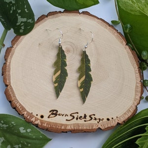 Philodendron Ring Of Fire Botanical Houseplant Leaf Earrings