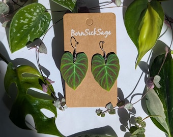 Philodendron Verrucosum Botanical Houseplant Leaf Earrings