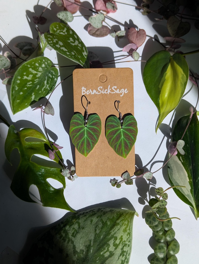 Philodendron Brasil Leaf Earrings main image 1