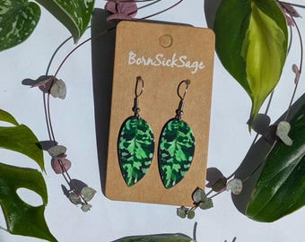 Algaonema Pictum Tricolor Botanical Houseplant Leaf Earrings