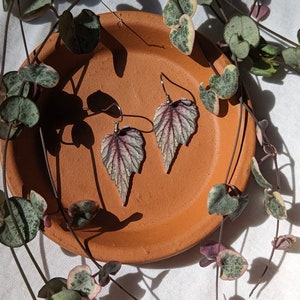 Pendientes con forma de hoja de begonia Rex.