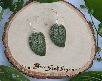 Scindapsus Pictus Silver Dutchess Botanical Houseplant Leaf Earrings