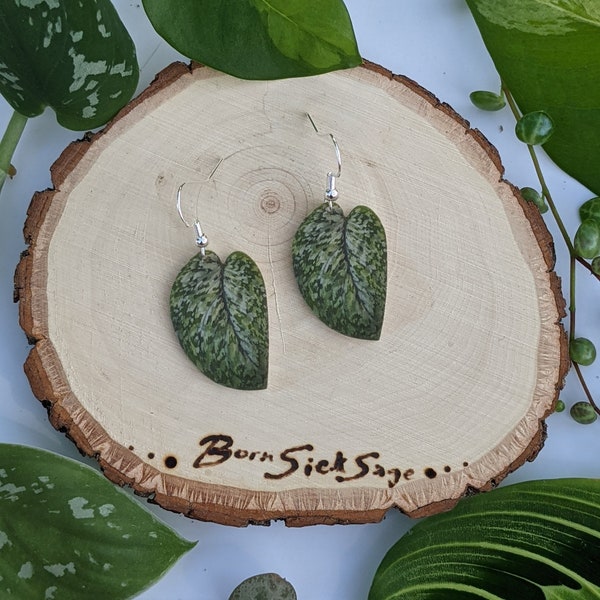 Scindapsus Pictus Silver Dutchess Botanical Houseplant Leaf Earrings