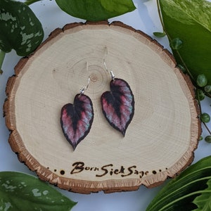 Rex Begonia Red Botanical Houseplant Leaf Earrings