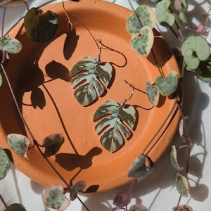 Monstera Albo botanische Pflanzenblatt Ohrringe
