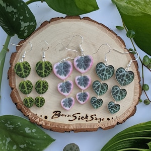 String of Things-kollektionen Handgjorda botaniska örhängesset