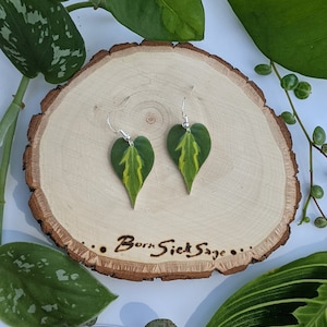 Philodendron Carnival - Etsy