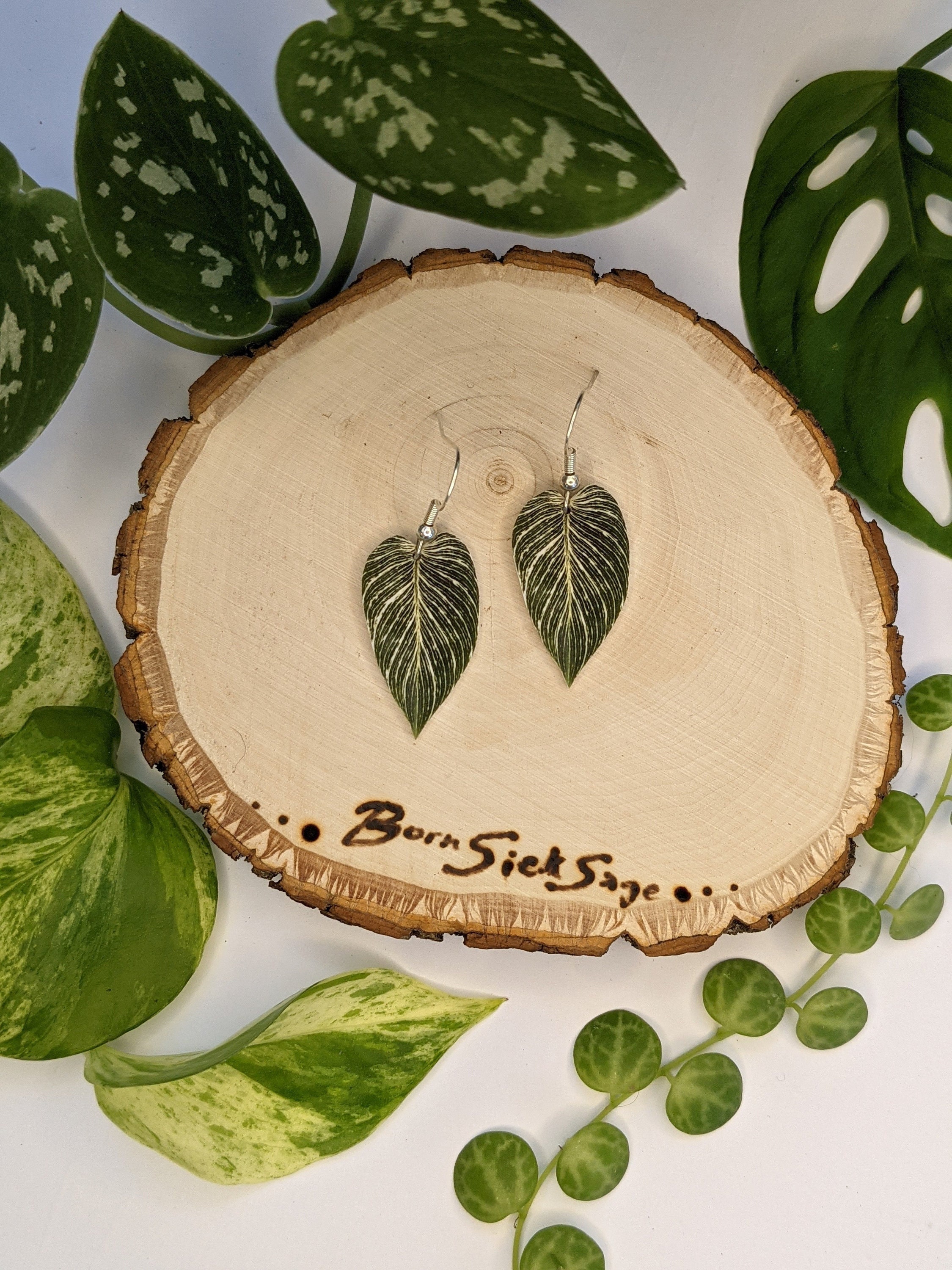 Philodendron Brasil Leaf Earrings