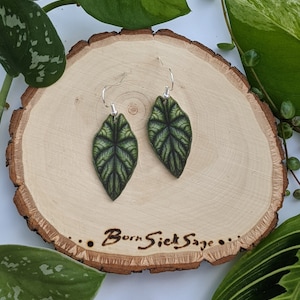 Dragon Scale Alocasia Botanical Houseplant Leaf Earrings