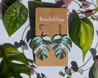 Monstera Albo Botanical Plant Leaf Earrings