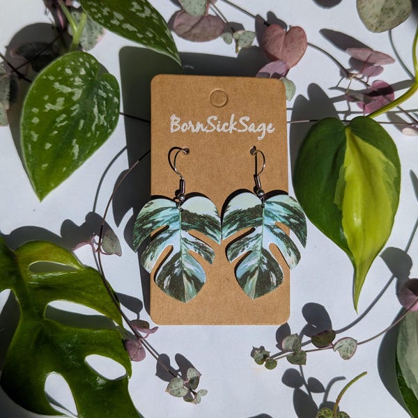 Pendientes de hoja de planta botánica Monstera Albo