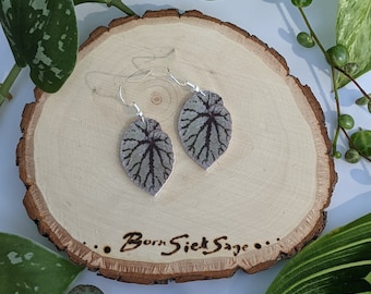 Silver Dollar Begonia Botanical Houseplant Leaf Earrings