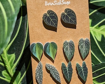 Botanical Plant Leaf STUD/POST earrings (set of 5)