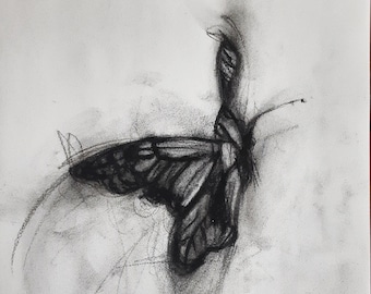 Original Butterfly Charcoal Drawing.