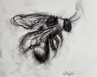 Original Bumblebee Charcoal Drawing.