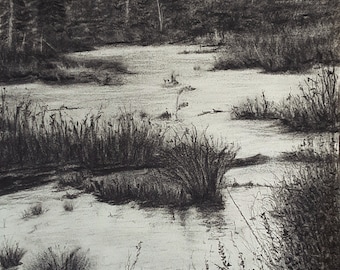 A Bog. Original Landscape Charcoal Drawing. Without frame.