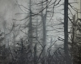 Deep in the woods. Original Landscape Charcoal Drawing. Without frame.