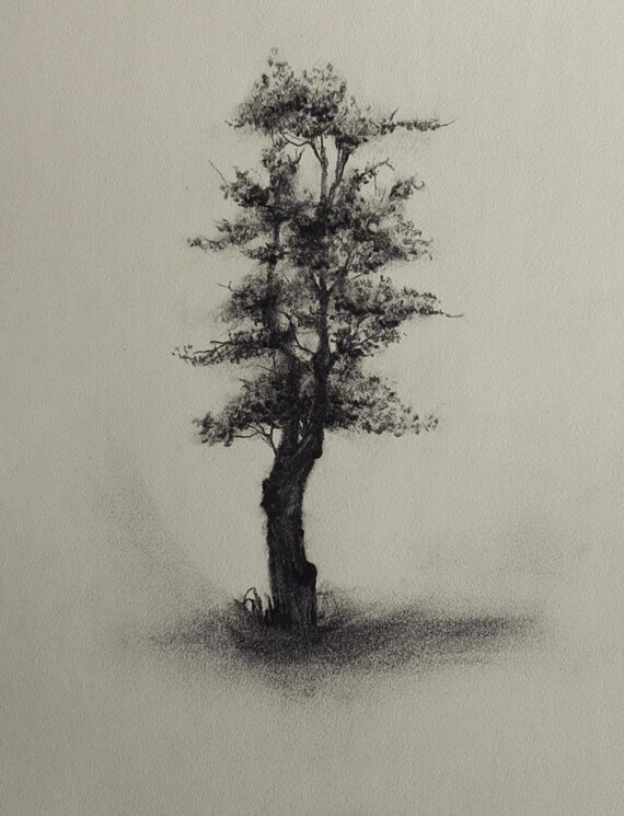 Original Charcoal Landscape Framed Art Original Charcoal Landscape Framed Art