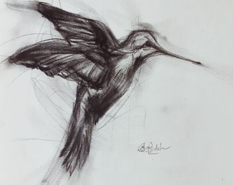 Original Hummingbird Charcoal Drawing.