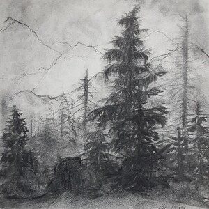 Forest Ground. Original Landscape Charcoal Drawing. Without Frame