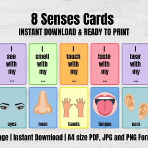 Cartes mémoire des sens | Accessoires d'anglais langue seconde imprimables pour enfants, activités pédagogiques pour les sens et jeux pour l'école à la maison, cartes d'apprentissage pour tout-petits