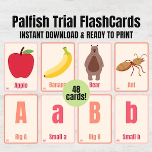 Palfish Props / 48 tarjetas didácticas imprimibles para profesores para clases de prueba de Palfish, tarjetas para tutores de enseñanza de inglés como segunda lengua