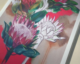 Protea Plant Flowers Art Print Giclée Print Mural Decoration Painting Reproduction Artwork DIN A4 Print