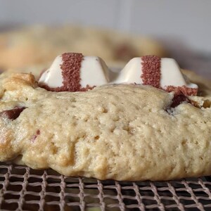 May include: Close-up of a chocolate chip cookie topped with two white chocolate squares, each with a red stripe. The cookie is resting on a brown wire rack.