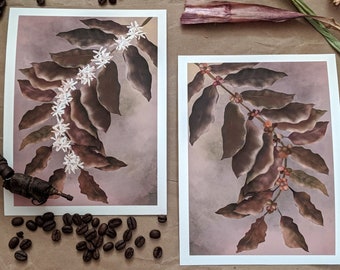 Coffee Plant Art Print Set: Botanical Kitchen Decor (6x8", Set of 2)