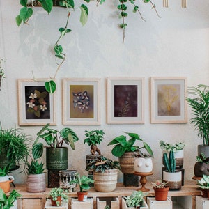 Watercolor Botanical Art Print Set: Herbarium Gallery Wall (Pick 4)