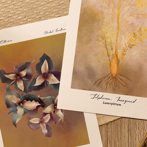 Botanical Art Prints: Golden Yellow Herbal Illustrations, Set of 2