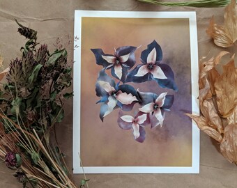 Pacific Trillium - 6x8" - Sustainable Cottagecore Dark Academia Botanical Art Print -