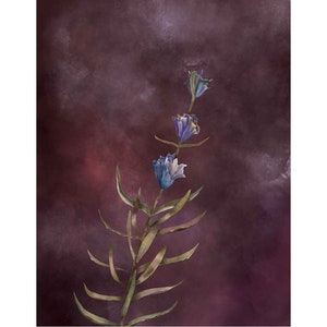 Purple botanical illustration for living room wall art
