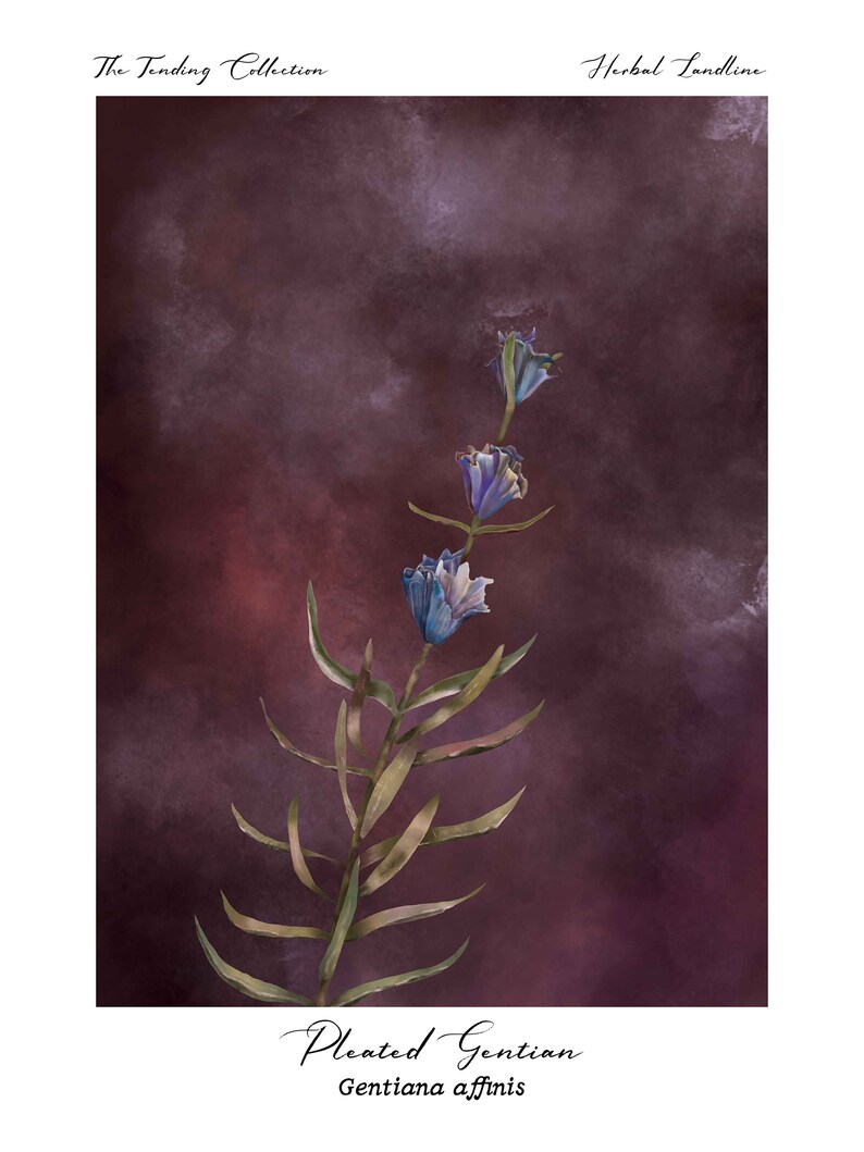 Purple botanical illustration for living room wall art