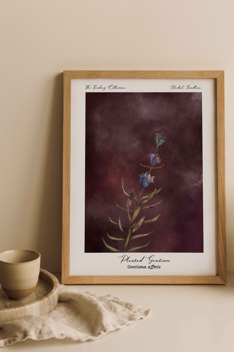 dark academia botanical wall art