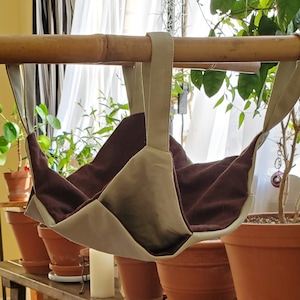Hammock