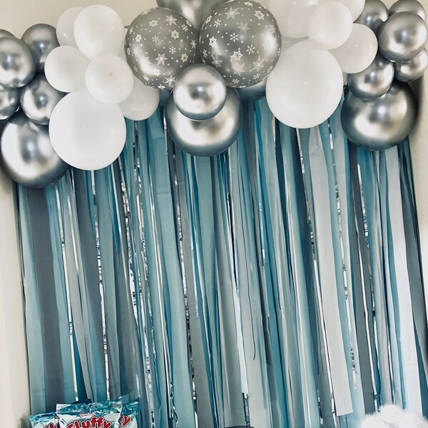 Fringe Backdrop, Streamer Backdrop, Party Backdrop, Photo Backdrop, Let it Snow, Oh Boy, Baby Blue, It’s a Boy, Snowflakes