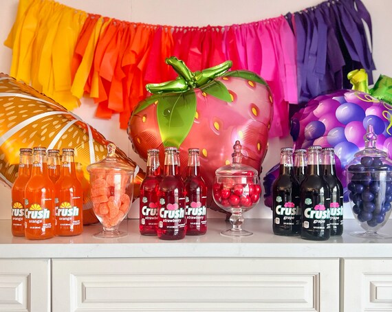 Fringe Backdrop, Streamer Backdrop, Party Backdrop, Tassel Bunting, Photo Op, Valentine’s Day, Birthday Party, Rainbow, Tutti Frutti, Berry Il_570xn