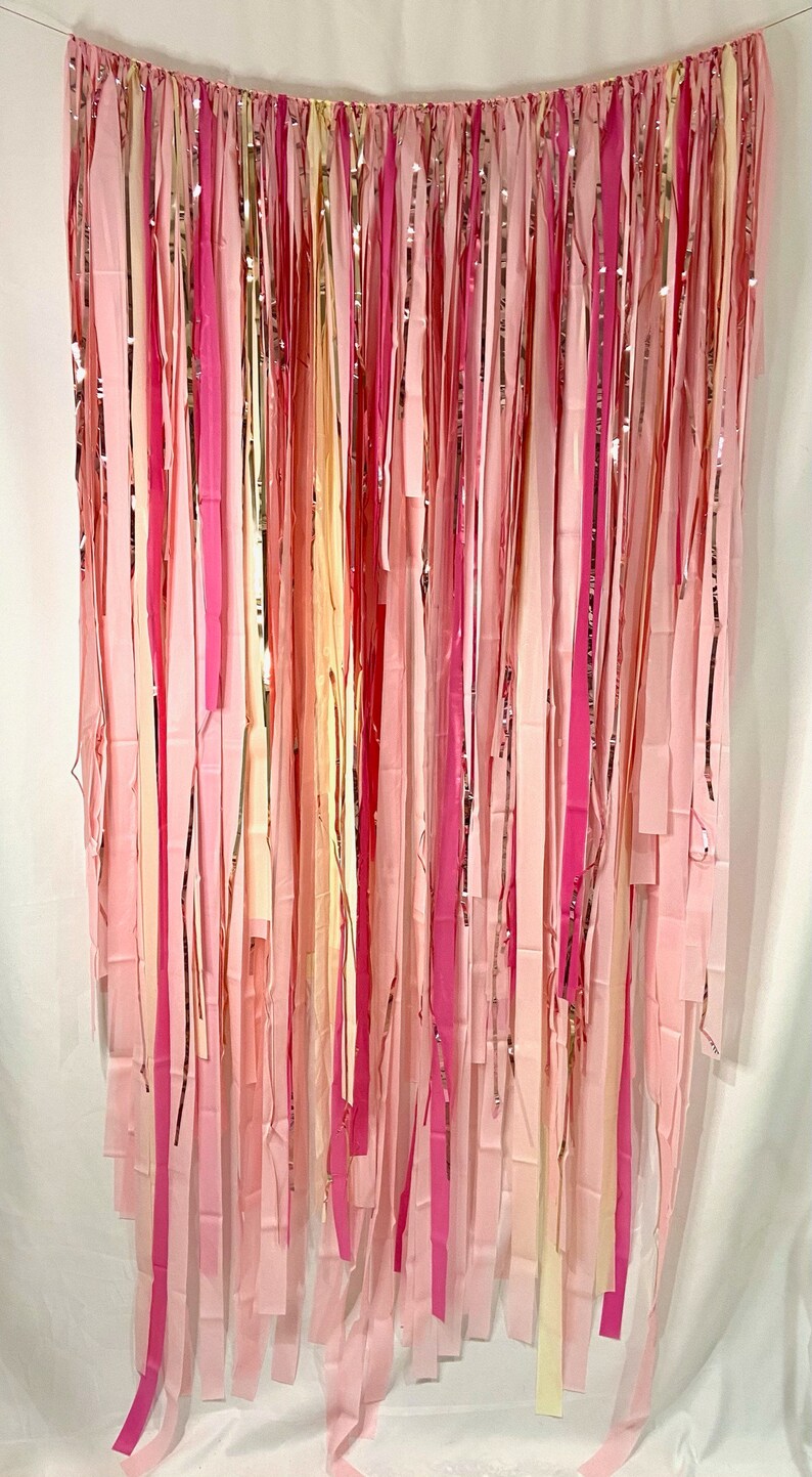 Fringe Backdrop, Streamer Backdrop, Party Backdrop, Bachelorette, Rosé